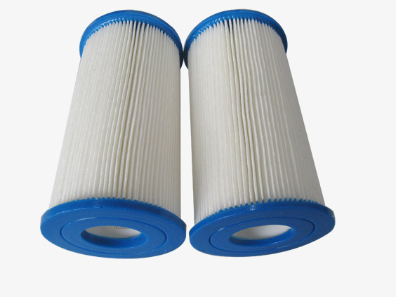 Replace Spa Water Filter Element